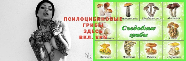 mix Абинск