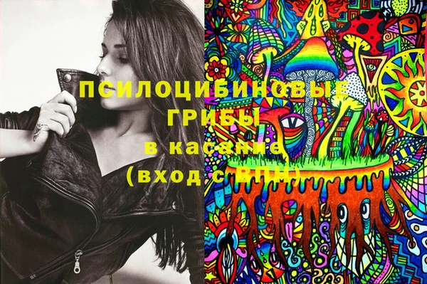 дмт Пестово