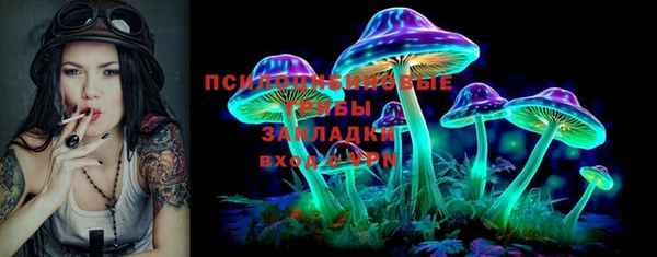 дмт Пестово