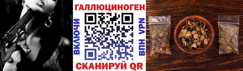 Галлюциногенные грибы Magic Shrooms МЕГА ТОР Гагарин